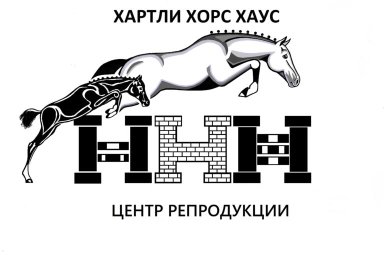 ВСЕ НОВОСТИ