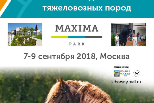 ВСЕ НОВОСТИ
