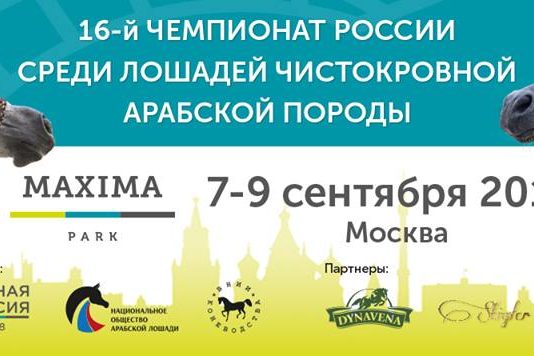 ВСЕ НОВОСТИ