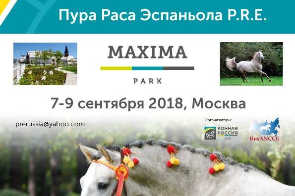 ВСЕ НОВОСТИ