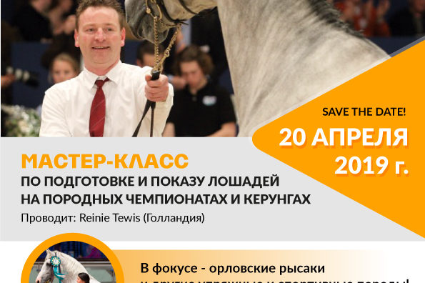 ВСЕ НОВОСТИ