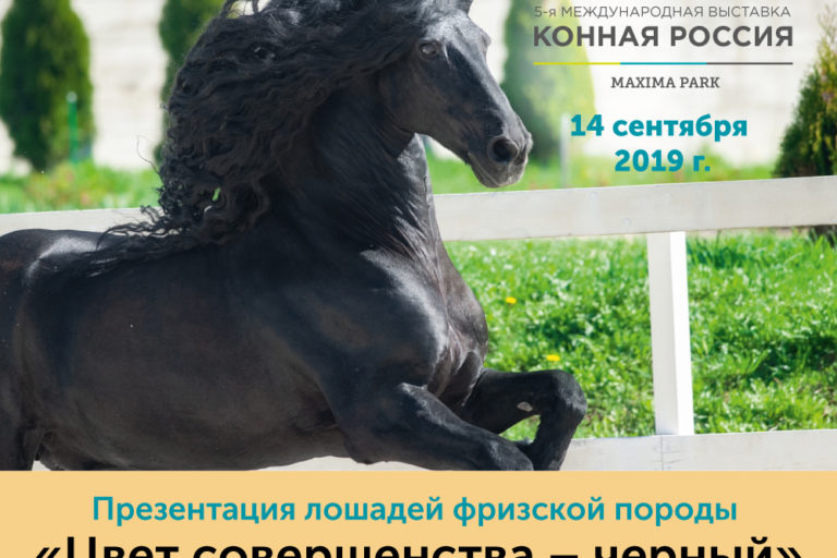 ВСЕ НОВОСТИ