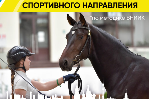 ВСЕ НОВОСТИ