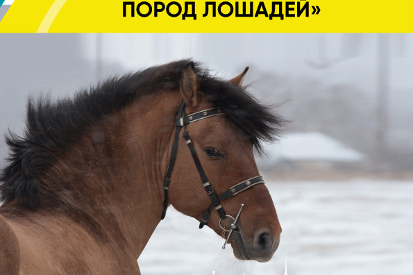 ВСЕ НОВОСТИ