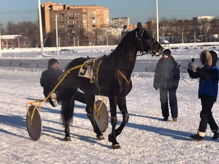 Новости
