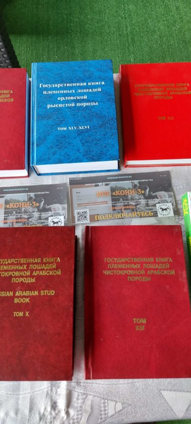 Выставка открылась! Уже в 9.30 первая лошадь вышла в манеж на дни спортивного коннозаводства!