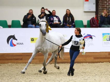 Результаты II Чемпионата России среди лошадей орловской рысистой породы
