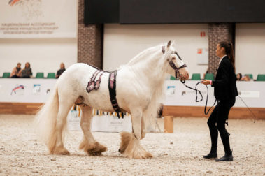 Фото Дарьи Куракиной