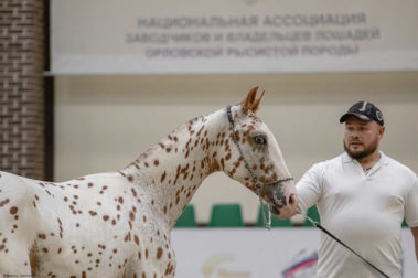 Фото Елены Елисеевой (11.09)
