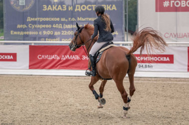 Фото Елены Елисеевой (11.09)