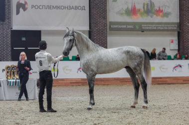 Фото Юлии Кныш