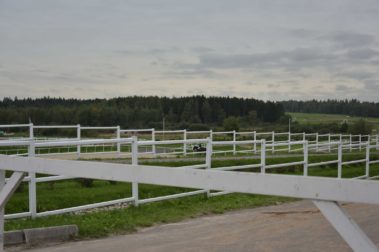 Фото Полины Лурье (11.09)