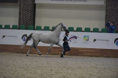 Фото Полины Лурье (11.09)