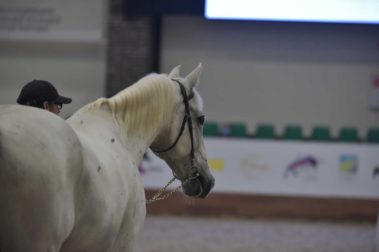 Фото Полины Лурье (11.09)