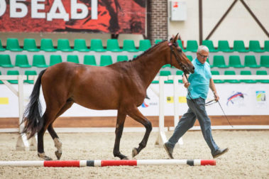 Фото Елены Вондерби (Mover Class)