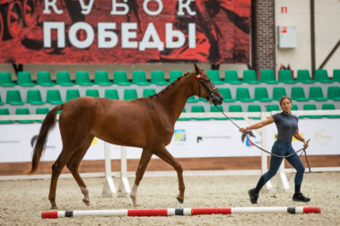 Фото Елены Вондерби (Mover Class)