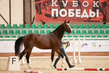 Фото Елены Вондерби (Mover Class)