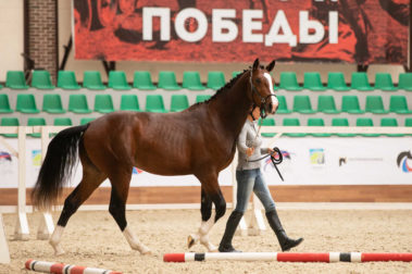 Фото Елены Вондерби (Mover Class)