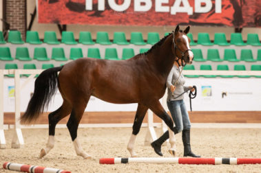 Фото Елены Вондерби (Mover Class)