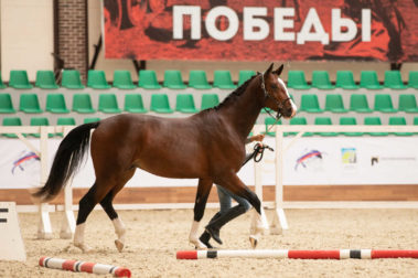 Фото Елены Вондерби (Mover Class)