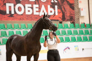 Фото Елены Вондерби (Mover Class)