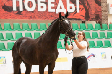 Фото Елены Вондерби (Mover Class)
