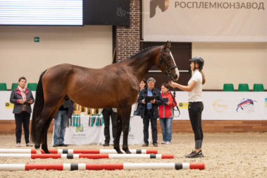 Фото Елены Вондерби (Mover Class)