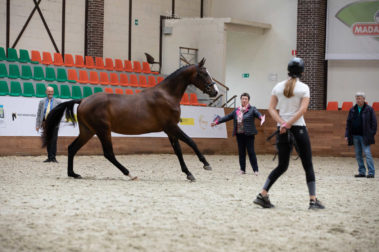 Фото Елены Вондерби (Mover Class)
