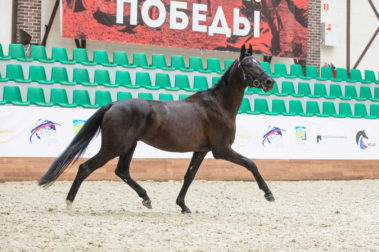 Фото Елены Вондерби (Mover Class)