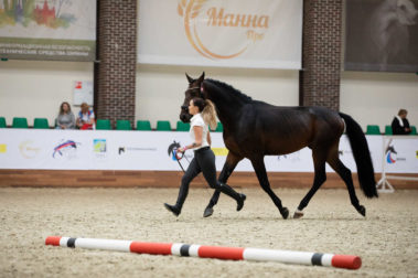 Фото Елены Вондерби (Mover Class)