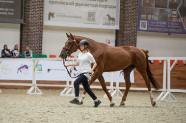 Фото Елены Вондерби (Mover Class)