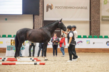 Фото Елены Вондерби (Mover Class)