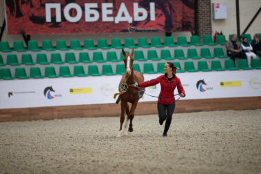 Фото Елены Вондерби (Палитра)