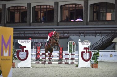 «Конная Россия 2019» Конноспортивные состязания в Maxima Park