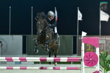 «Конная Россия 2019» Конноспортивные состязания в Maxima Park