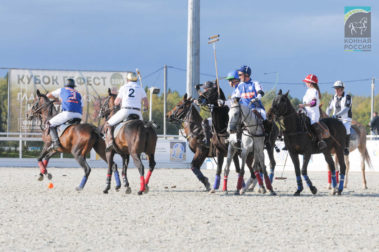 «Конная Россия 2019» Конноспортивные состязания в Maxima Park