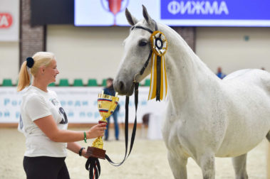 «Конная Россия 2019» Чемпионат России среди лошадей орловской рысистой породы