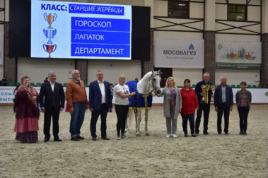 «Конная Россия 2019» Чемпионат России среди лошадей орловской рысистой породы