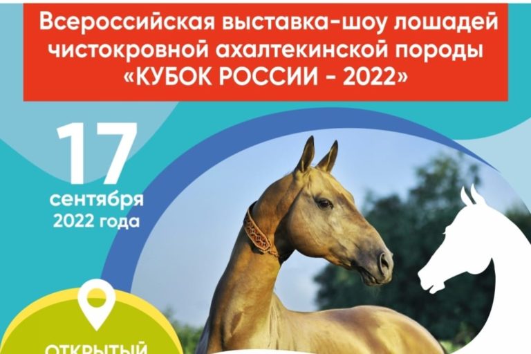 ВСЕ НОВОСТИ