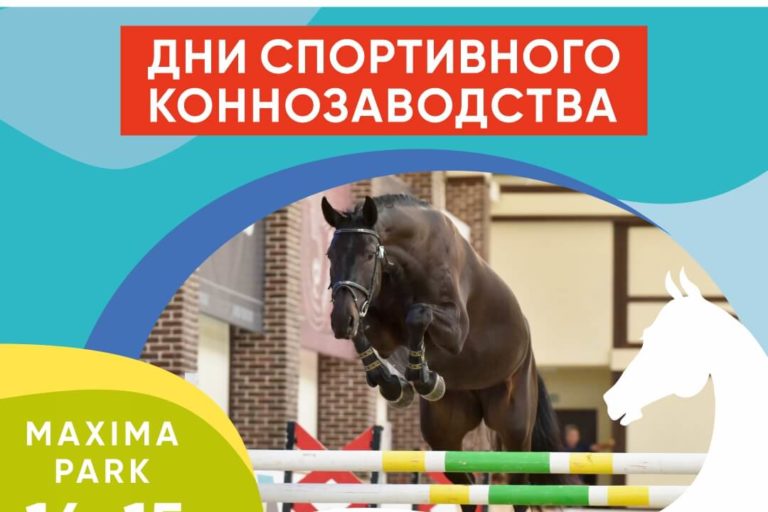 ВСЕ НОВОСТИ