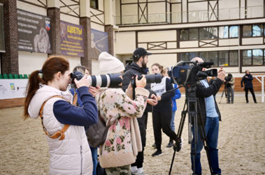 Результаты шоу-выводки молодых лошадей "Дни спортивного коннозаводства", MAXIMA PARK,  КОННАЯ РОССИЯ