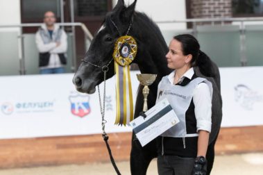III Чемпионат России среди лошадей орловской рысистой породы состоялся 14 октября 2022 года в Maxima Park, открыв программу 7й международной выставки «КОННАЯ РОССИЯ».