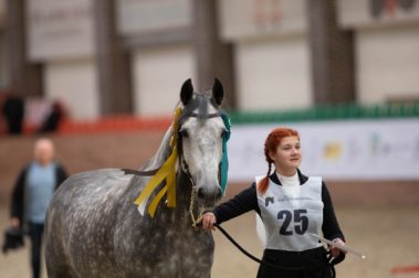 III Чемпионат России среди лошадей орловской рысистой породы состоялся 14 октября 2022 года в Maxima Park, открыв программу 7й международной выставки «КОННАЯ РОССИЯ».