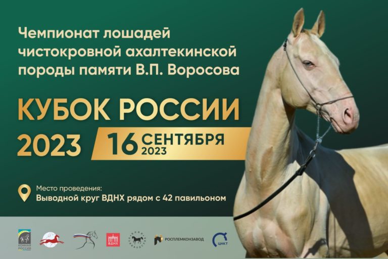 ВСЕ НОВОСТИ