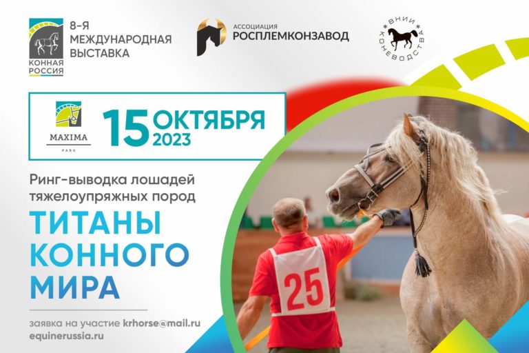 ВСЕ НОВОСТИ