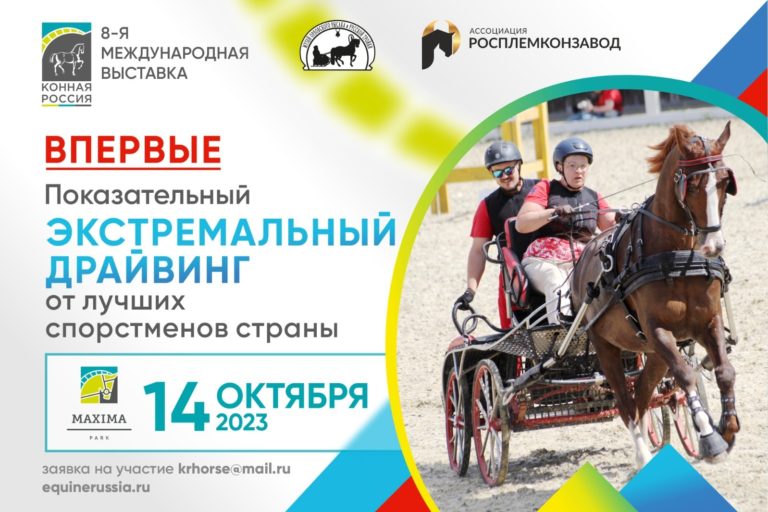 ВСЕ НОВОСТИ