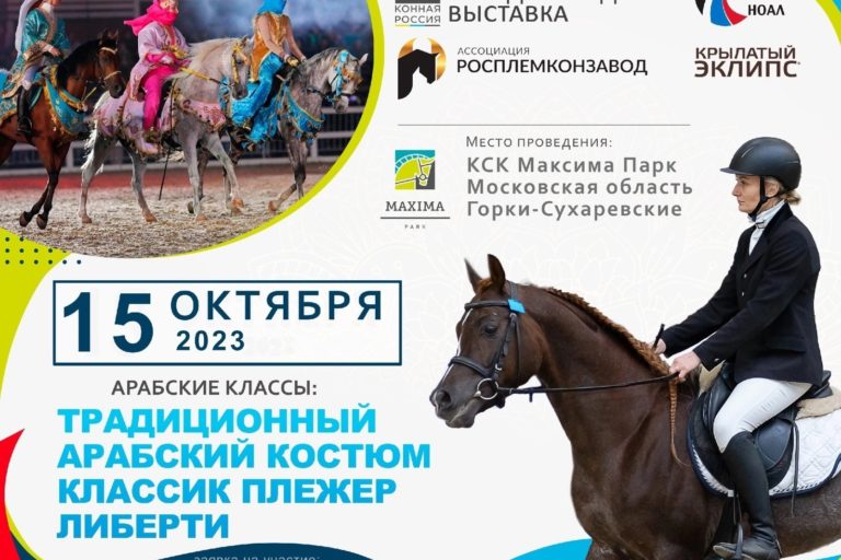 ВСЕ НОВОСТИ
