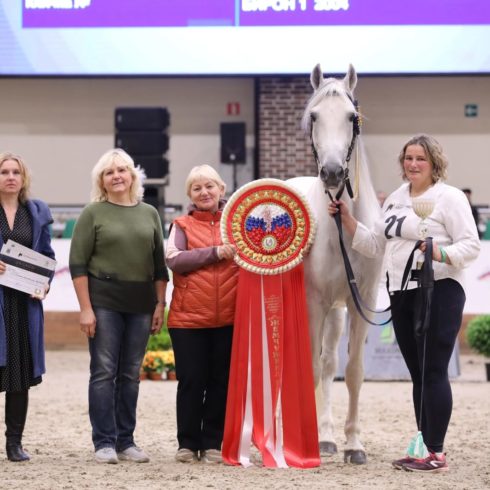 Лошади Московского конного завода №1 стали абсолютными чемпионами на IV Чемпионате России среди лошадей орловской рысистой породы в рамках 8-й Международной выставки «Конная Россия»!