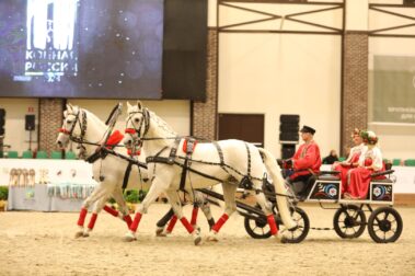"Конная Россия-2023". IV Чемпионат России среди лошадей орловской рысистой породы.