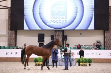 "Конная Россия-2023". IV Чемпионат России среди лошадей орловской рысистой породы.